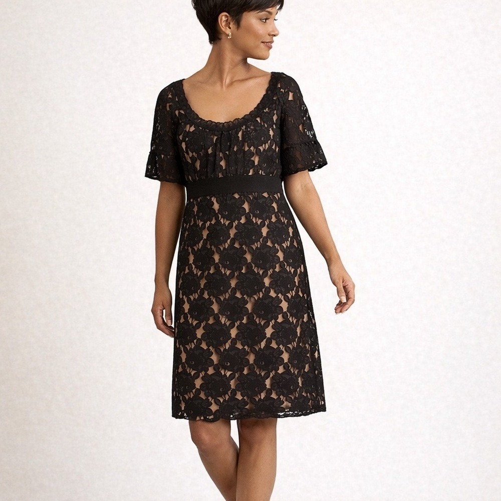 Loft Mesh Lace Dress Size 4 Ruffle Dark Romantic Cocktail Evening Parisian Glam